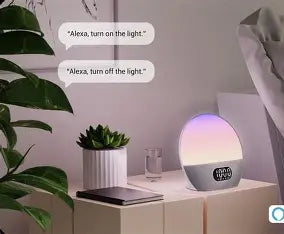 Wiim Wake-up Light