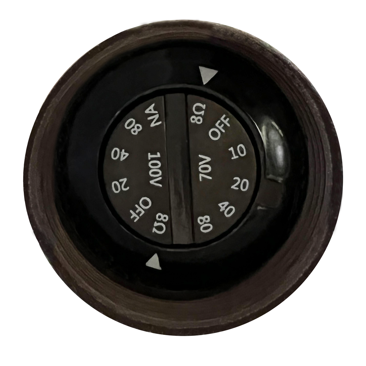 Sonance OMNI-6T Outdoor Speaker - 5