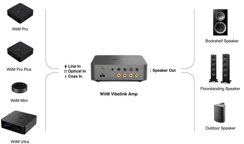 WiiM Vibelink 擴大機